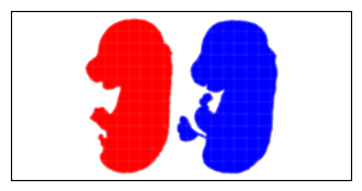 ../../_images/tutorials_3d_reconstruction_3d_stereoseq_rigid_5_1.png