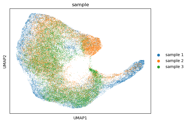 ../../_images/tutorials_DLPFC_INSPIRE_DLPFC_12sections_17_0.png