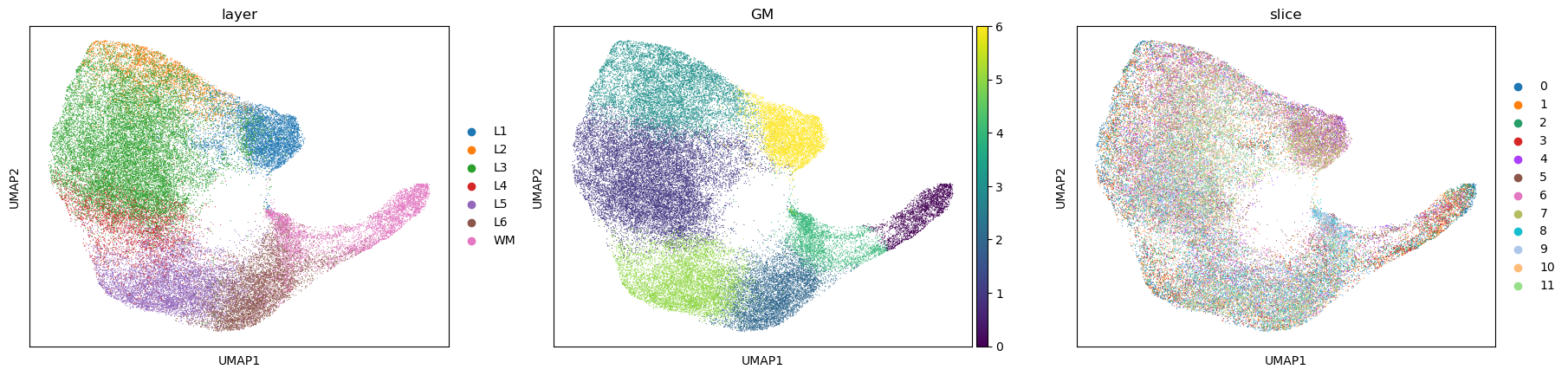 ../../_images/tutorials_DLPFC_INSPIRE_DLPFC_12sections_18_0.png