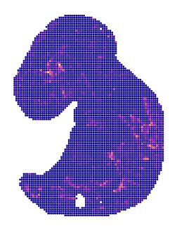 ../../_images/tutorials_diff_tech_embryo_difftech_embryo_spatial_factors_10_1.png