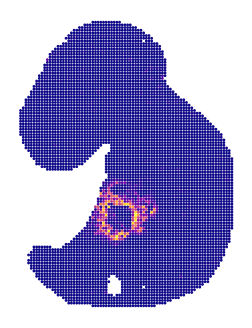../../_images/tutorials_diff_tech_embryo_difftech_embryo_spatial_factors_8_1.png