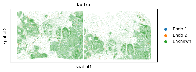 ../../_images/tutorials_human_breast_cancer_xenium_human_breast_cancer_endo_factors_18_0.png