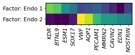 ../../_images/tutorials_human_breast_cancer_xenium_human_breast_cancer_endo_factors_7_0.png