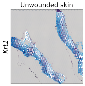 ../../_images/tutorials_mouse_skin_repair_mouse_skin_repair_factors_10_0.png