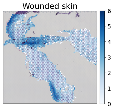 ../../_images/tutorials_mouse_skin_repair_mouse_skin_repair_factors_10_1.png