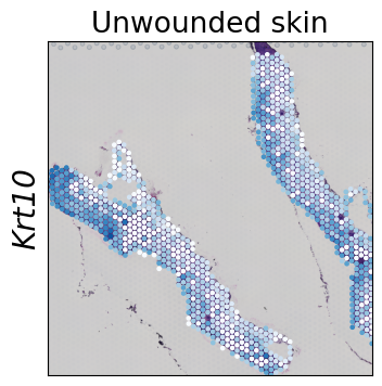 ../../_images/tutorials_mouse_skin_repair_mouse_skin_repair_factors_11_0.png