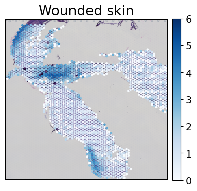 ../../_images/tutorials_mouse_skin_repair_mouse_skin_repair_factors_11_1.png