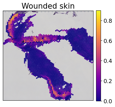 ../../_images/tutorials_mouse_skin_repair_mouse_skin_repair_factors_12_1.png
