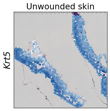 ../../_images/tutorials_mouse_skin_repair_mouse_skin_repair_factors_13_0.png