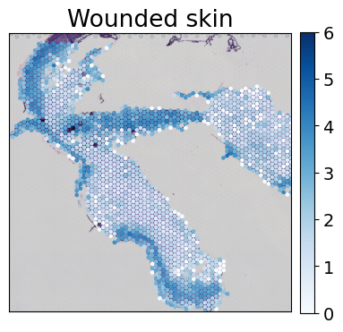 ../../_images/tutorials_mouse_skin_repair_mouse_skin_repair_factors_13_1.png