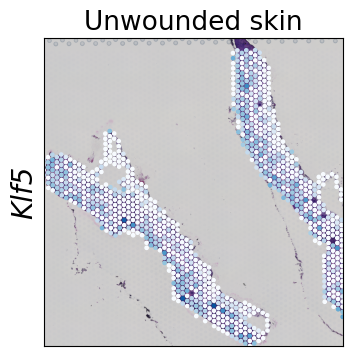 ../../_images/tutorials_mouse_skin_repair_mouse_skin_repair_factors_14_0.png