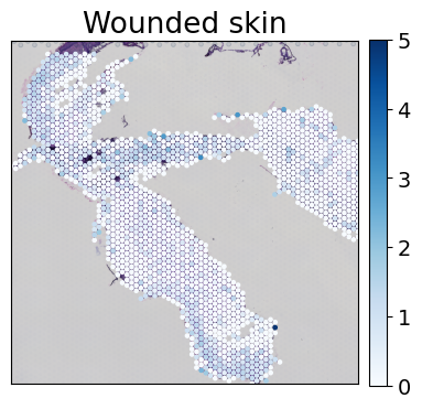 ../../_images/tutorials_mouse_skin_repair_mouse_skin_repair_factors_14_1.png