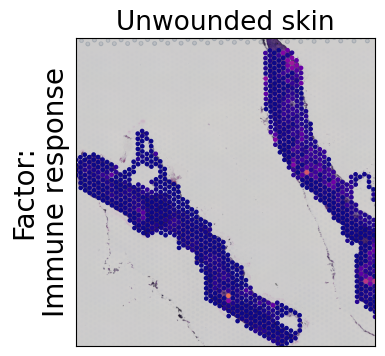../../_images/tutorials_mouse_skin_repair_mouse_skin_repair_factors_15_0.png