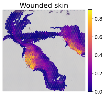 ../../_images/tutorials_mouse_skin_repair_mouse_skin_repair_factors_15_1.png