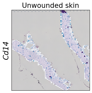 ../../_images/tutorials_mouse_skin_repair_mouse_skin_repair_factors_16_0.png