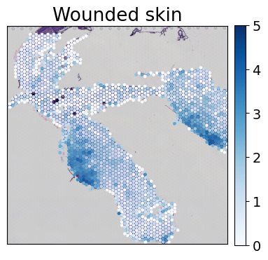 ../../_images/tutorials_mouse_skin_repair_mouse_skin_repair_factors_16_1.png