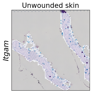 ../../_images/tutorials_mouse_skin_repair_mouse_skin_repair_factors_17_0.png