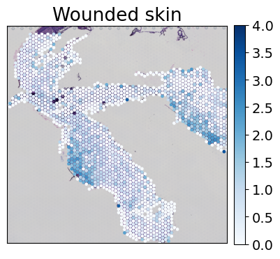../../_images/tutorials_mouse_skin_repair_mouse_skin_repair_factors_17_1.png