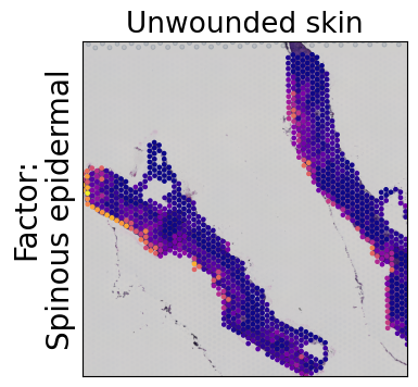 ../../_images/tutorials_mouse_skin_repair_mouse_skin_repair_factors_9_0.png