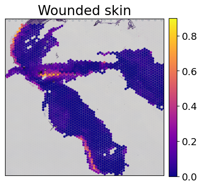 ../../_images/tutorials_mouse_skin_repair_mouse_skin_repair_factors_9_1.png