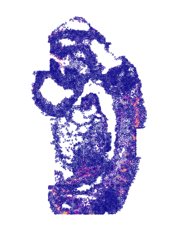 ../../_images/tutorials_diff_tech_embryo_difftech_embryo_spatial_factors_10_0.png
