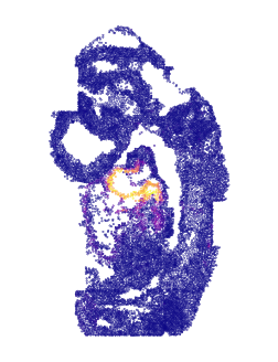 ../../_images/tutorials_diff_tech_embryo_difftech_embryo_spatial_factors_6_0.png