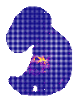 ../../_images/tutorials_diff_tech_embryo_difftech_embryo_spatial_factors_6_1.png