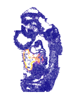 ../../_images/tutorials_diff_tech_embryo_difftech_embryo_spatial_factors_8_0.png